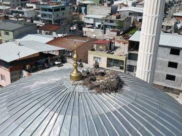 6 yıldır aynı yuvaya dönüyorlar