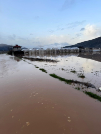 Antalya'da sağanak; dereler taştı, tarım alanlarını su altında kaldı