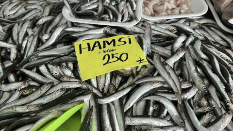 'Balıkta hızlı avcılık pek çok sıkıntıyı beraberinde getirdi'