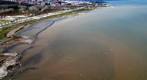 Van Gölü kıyılarında suyun rengi kahverengiye döndü