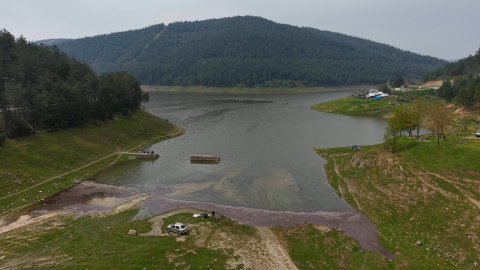 Koyunların otladığı baraj tekrar doldu