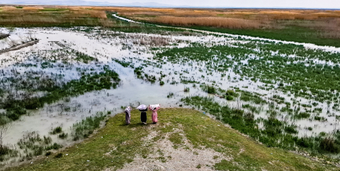Akşehir Gölü, 8 yıllık kuraklık sonrası canlanıyor