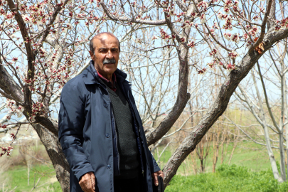 Karadeniz'de gördü, Van'da uyguladı; teleferik sistemi ile bahçesine 40 dakika yerine 40 saniyede ulaşıyor / Ek fotoğraflar