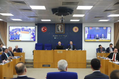 'Varlık Barışı'nı içeren kanun teklifi, TBMM Plan ve Bütçe Komisyonu'nda