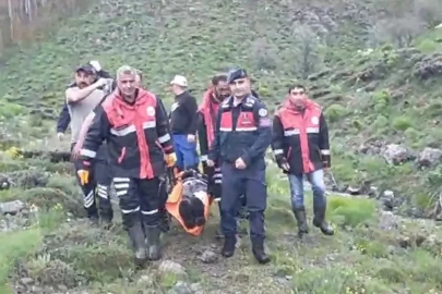Mantar toplarken ayı saldırısında yaralandı