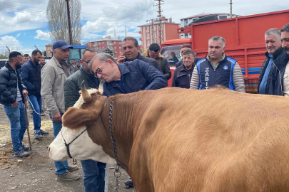 Vali Polat, kurban pazarlığında ara buluculuk yaptı