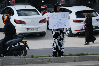 Akan trafikte inek kostümüyle sürücülere hız yapmayın uyarısı