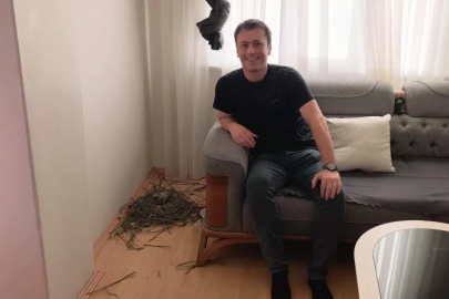 Evinin oturma odasına yuva yapan güvercinlere sahip çıktı