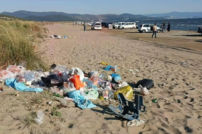 'Deniz kaplumbağalarının yuvalama alanı kıyı kumullar tehlike altında'