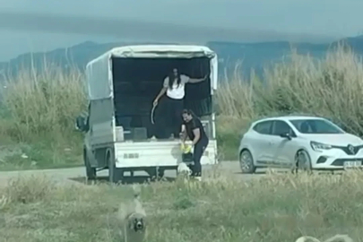 Kuşların doğal alanına kamyonetle çok sayıda köpek bıraktılar