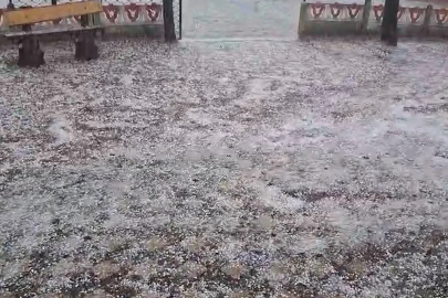 Ordu'da dolu yağışı etkili oldu