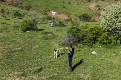 Arazideki çobanlara dronla 'şeker' gönderdiler