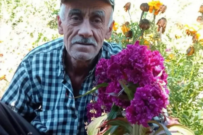 'Tarlaya gidiyorum' diye evden çıktı, evinin yakınındaki bahçede baygın bulundu