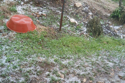 Manisa'da dolu yağışı tarım alanlarına zarar verdi