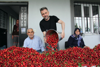 Türkiye'de kiraz mevsimi; Avrupa'ya ihracat başladı
