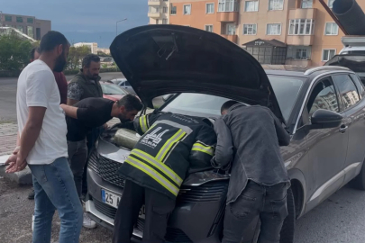 Otomobilin motor bölümüne sıkışan 2 yavru kedi kurtarıldı