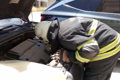 Aracın motoruna sıkışan kedi kurtarıldı
