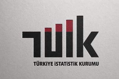 TÜİK: Ücretli çalışan sayısı yıllık yüzde 2 arttı