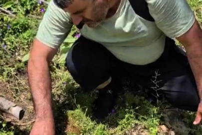 Susuz kalan kaplumbağa ile suyunu paylaştı