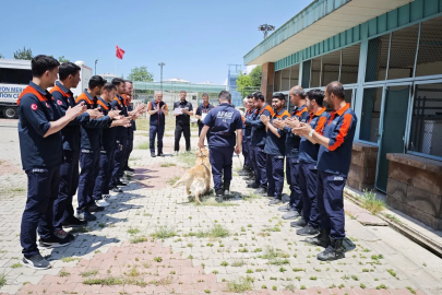 Emekliliği beklenen kahraman köpek 'Köpük', 9 yaşında grup ikincisi oldu