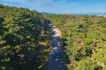 Çanakkale’de jandarmadan orman yangınlarına karşı önleyici denetim